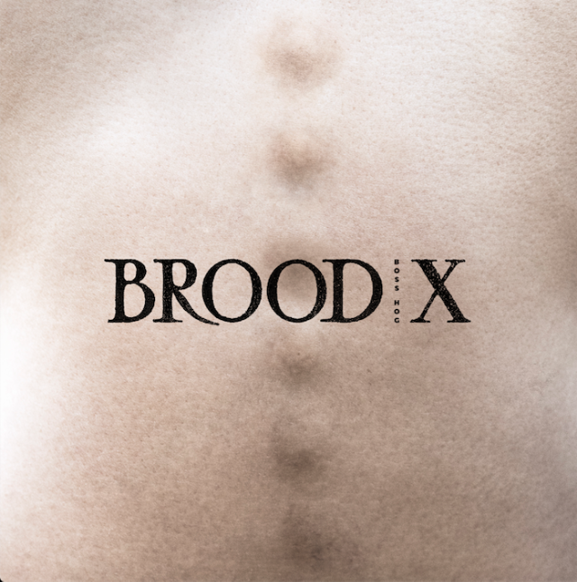 brood x